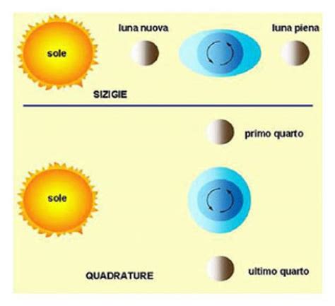 maree sigiziali e di quadratura